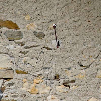 05_Hauts-Gicons 2