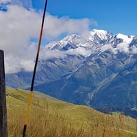 Le sommet et en fond le Mont-Blanc.