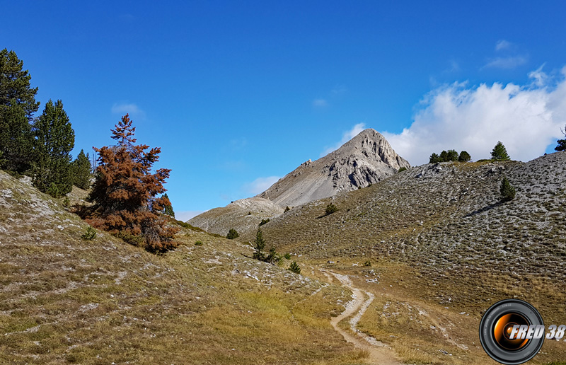 Vue des Ruines de Tête Noire.