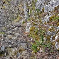 Le ruisseau sur le chemin.