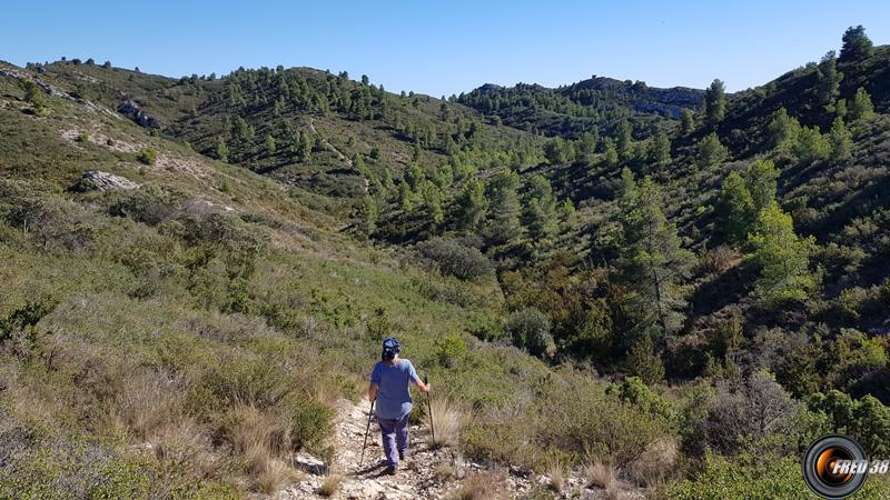 Descente dans le vallon