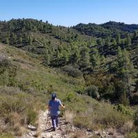 Descente dans le vallon
