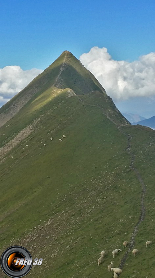 L'arête conduisant au sommet.