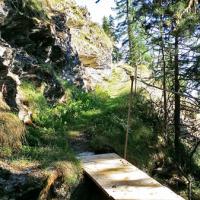 La petite passerelle