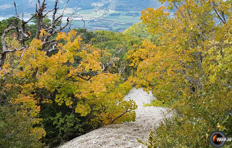 L'éboulis de descente.