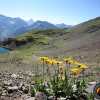 Le lac Gary