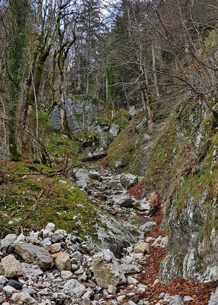 La cheminée de Fetrus