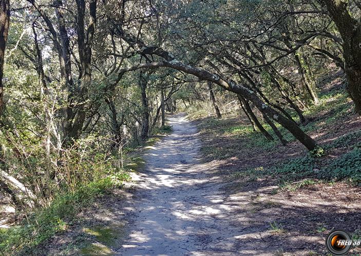 Début du sentier.