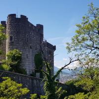 Le fort Rabot.