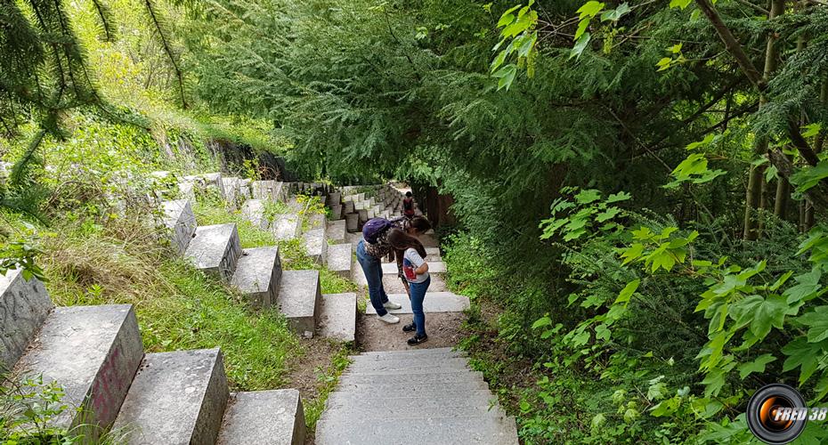 Le très long escalier.