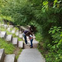 Le très long escalier.