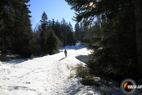 Près de la cabane du Petit Cucheron