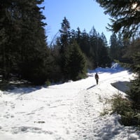 Près de la cabane du Petit Cucheron