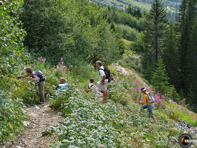 Montée au lac Fourchu.