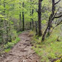 Sentier le long de la falaise.