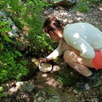 La petite source.