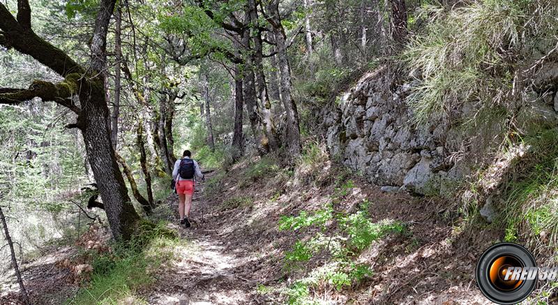 Début du Parcours.