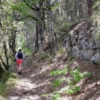Début du Parcours.