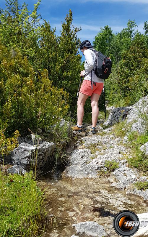 Ruisseau sur le sentier.