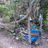 A la cabane du Bachasson.