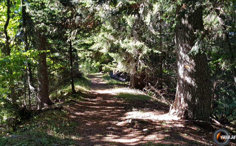 Sentier vers le belvédère.