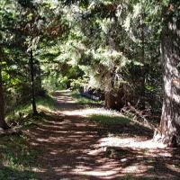 Sentier vers le belvédère.