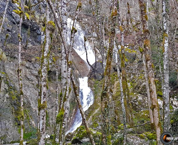 Cascade du Niaz.