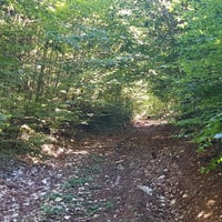 Début de l'itinéraire.