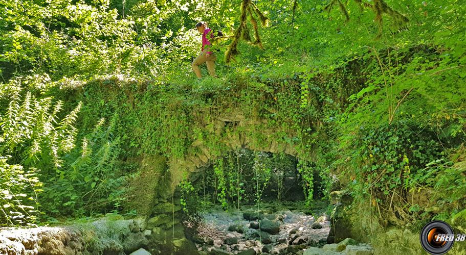 Le pont près de la cascade.