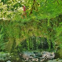 Le pont près de la cascade.