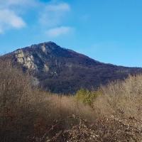 Vue dans la descente.