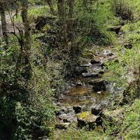La traversée du ruisseau.