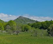 Bu grand colombier fenestrez photo