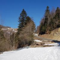 L'arrivée sur la route.