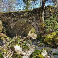 Le pont en pierre des Tines.