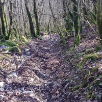 La partie de descente chaotique.