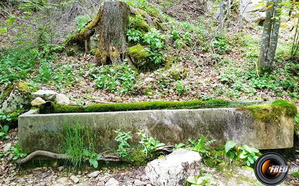 Fontaine de Frettevieille.