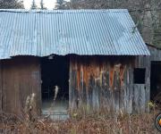 Cabane de girieux photo