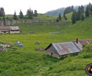 Cabane de l alpette photo