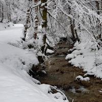 Ruisseau de l'Orme.