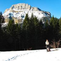 Vue sur le Chamechaude.