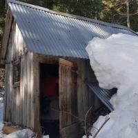 Cabane située dans les bois.