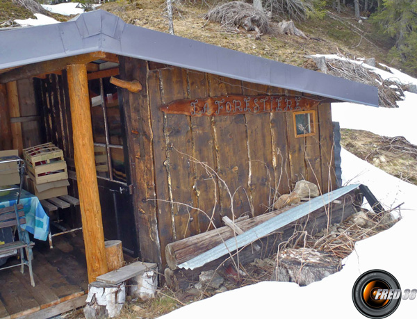 Cabane la forestiere photo