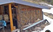 Cabane la forestiere photo