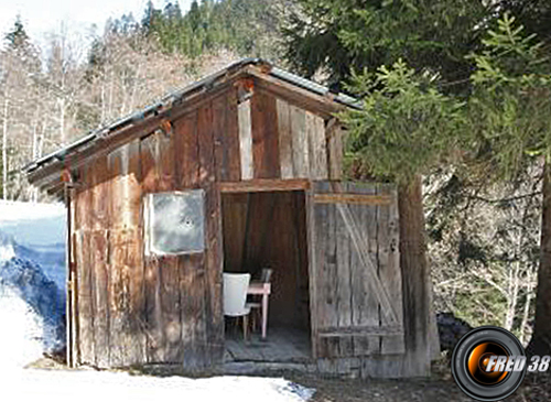 Cabane pont de fougere photo