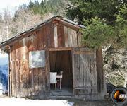 Cabane pont de fougere photo