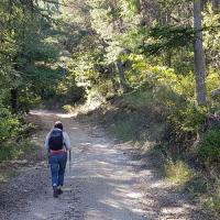 Début de la montée.