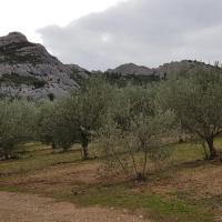 Montée dans les oliviers.