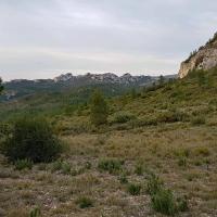 Dans le rétro.