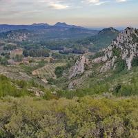 Vallon du Renard.